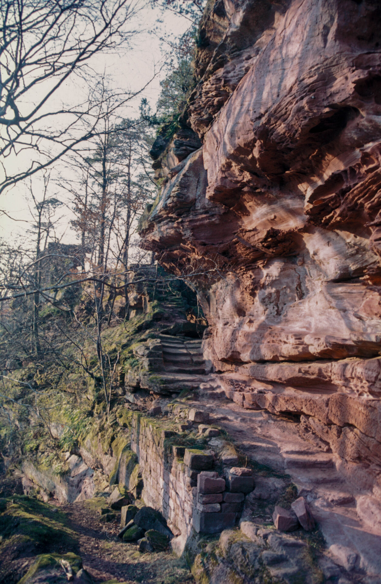 Diapositive - Hohenfels - 06