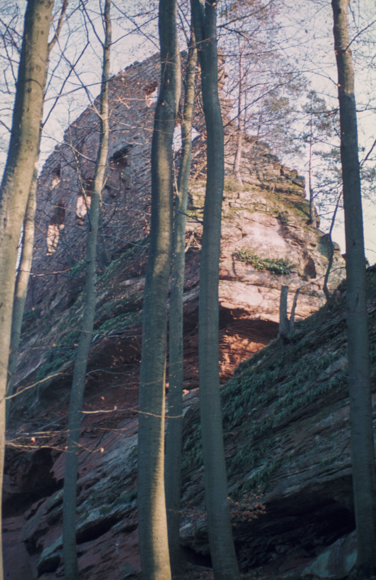 Diapositive - Hohenfels - 08