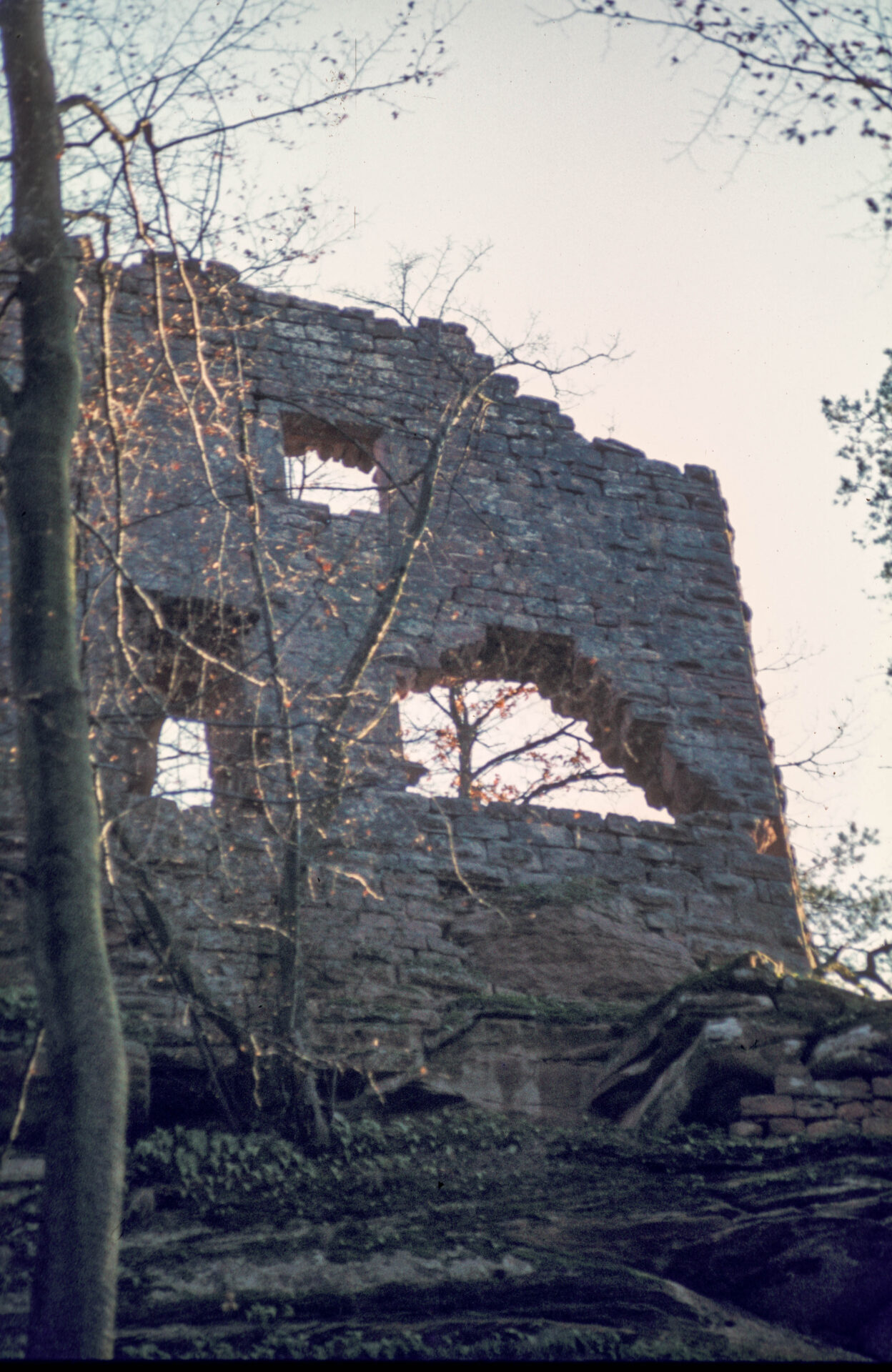 Diapositive - Hohenfels - 11