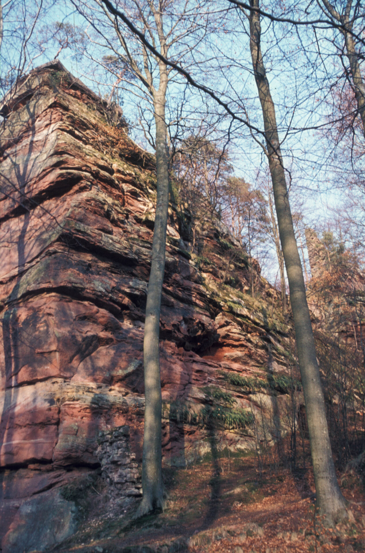 Diapositive - Hohenfels - 13
