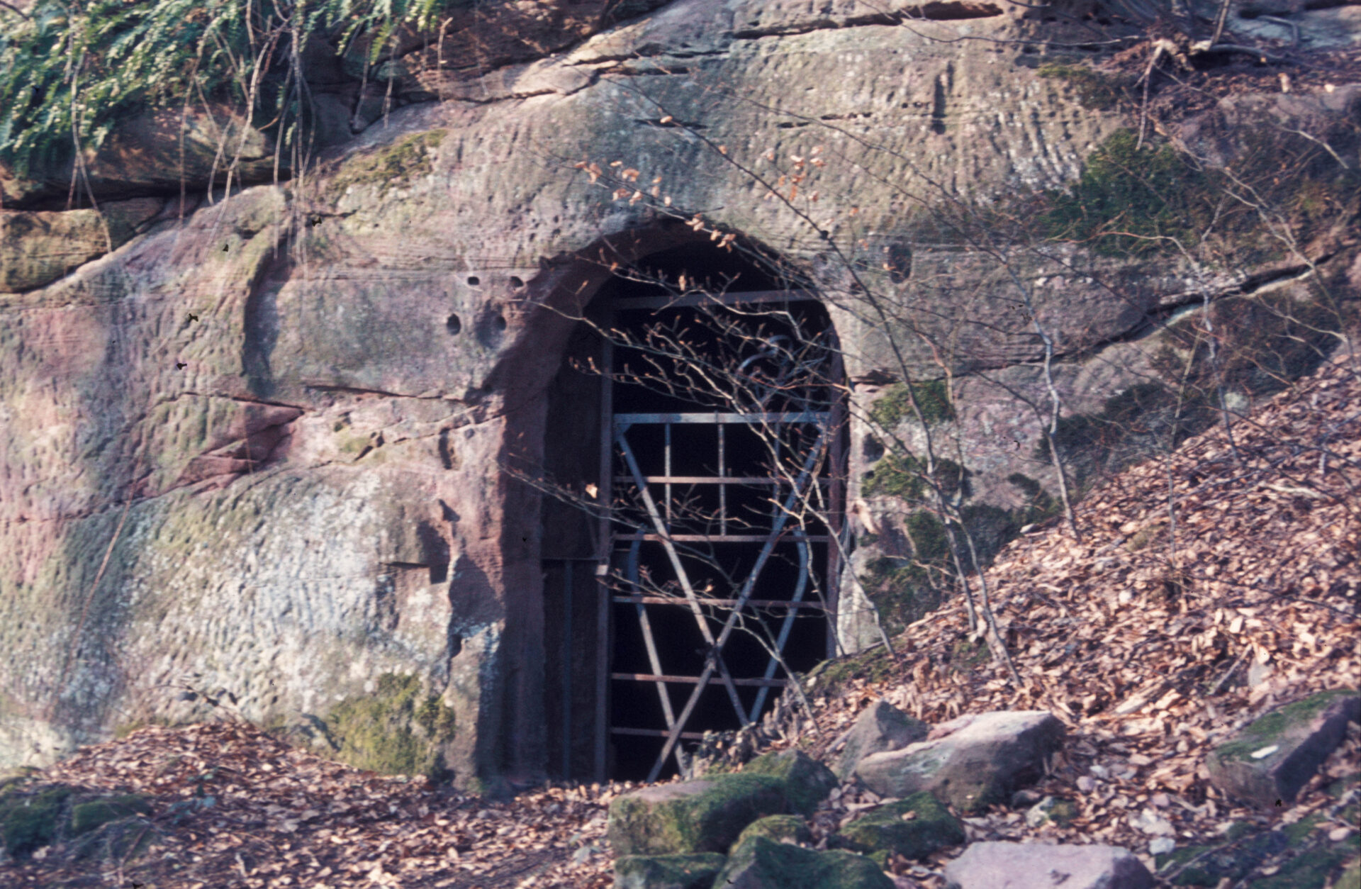 Diapositive - Hohenfels - 15