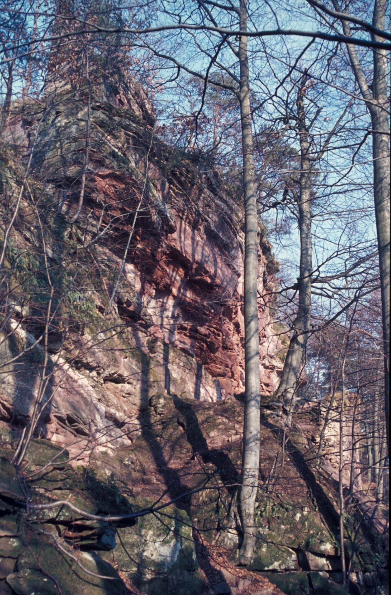 Diapositive - Hohenfels - 16