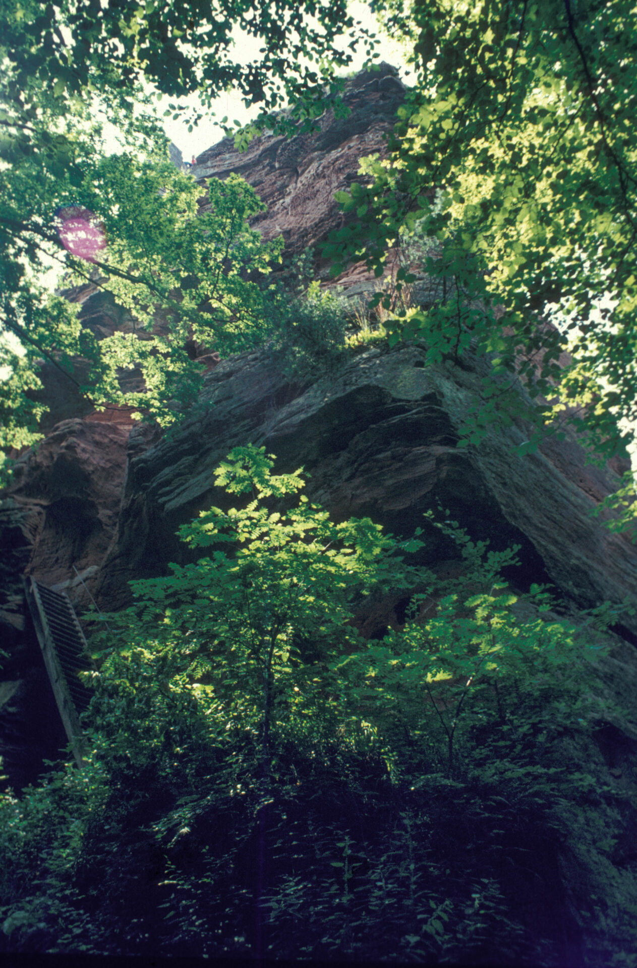 Diapositive - Lutzelhardt - 01