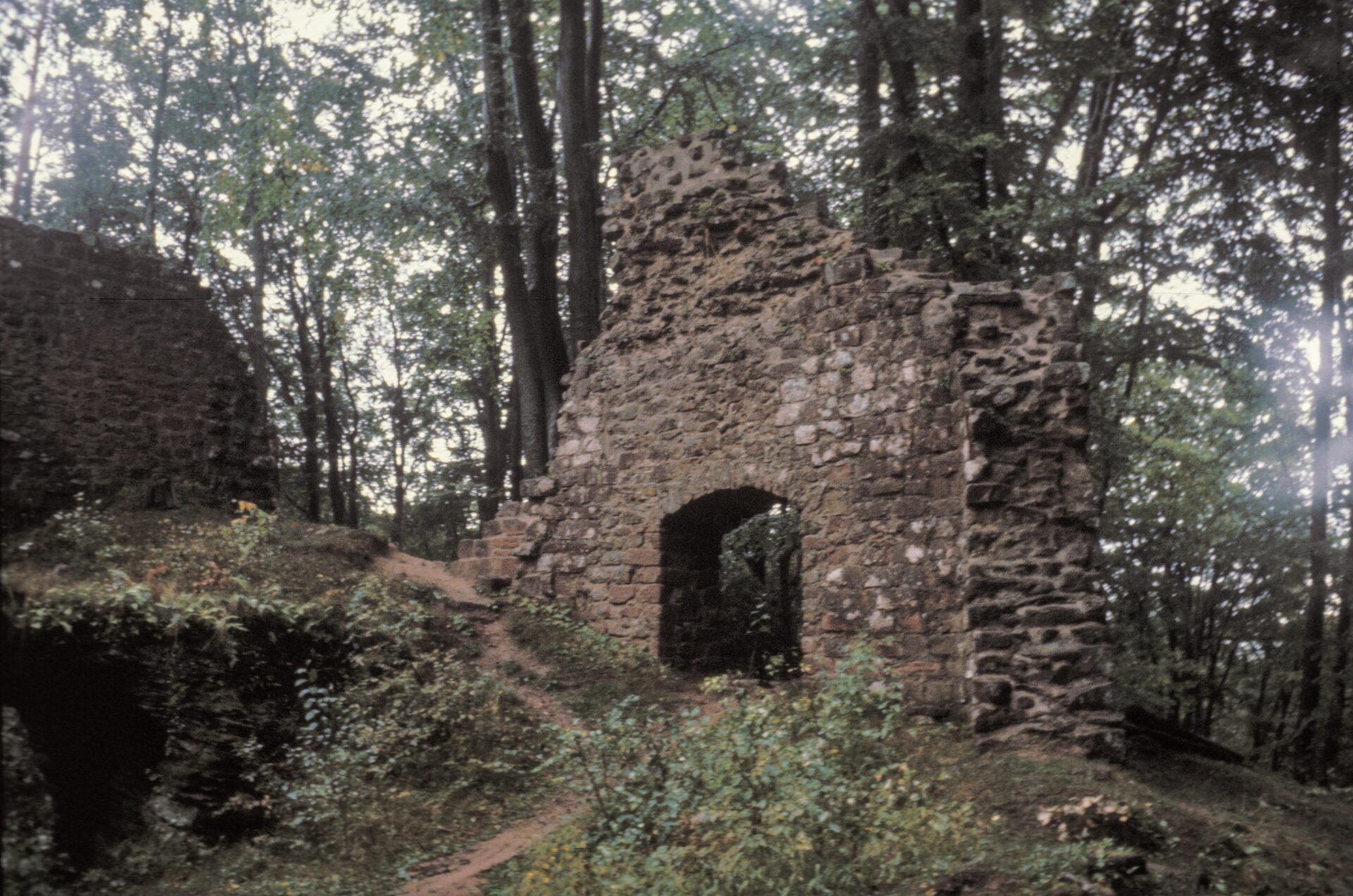 Diapositive - Lutzelhardt - 1990 - 03