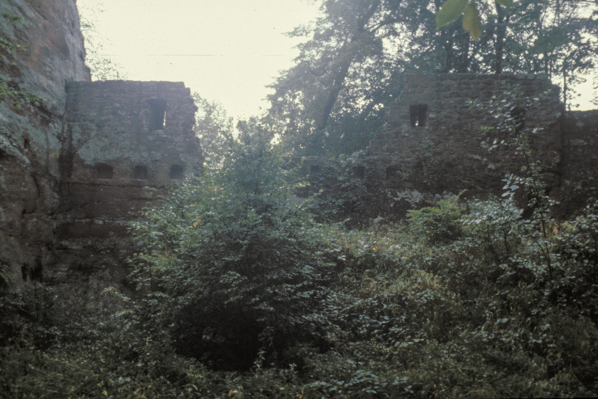 Diapositive - Lutzelhardt - 1990 - 04