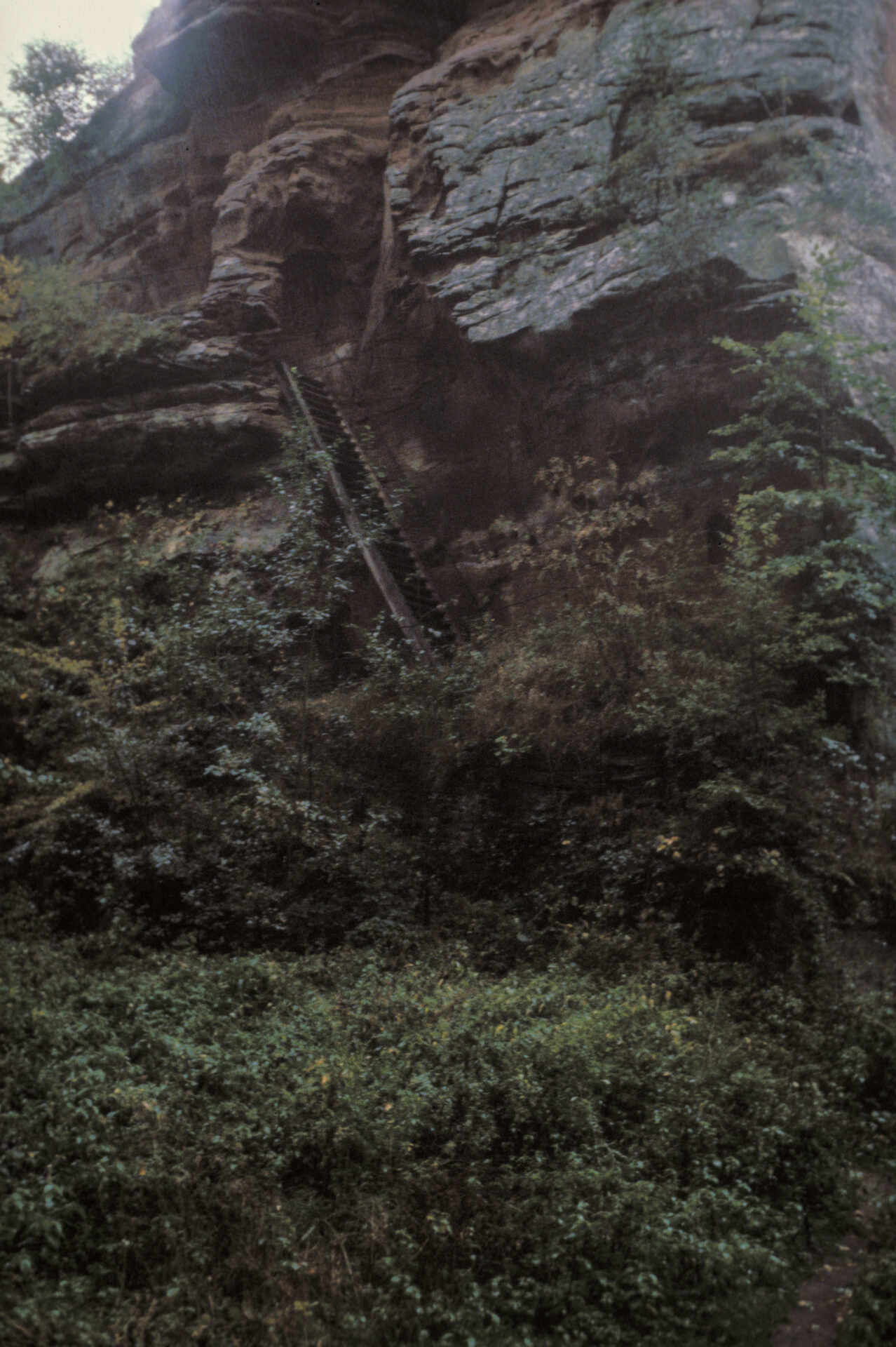 Diapositive - Lutzelhardt - 1990 - 05
