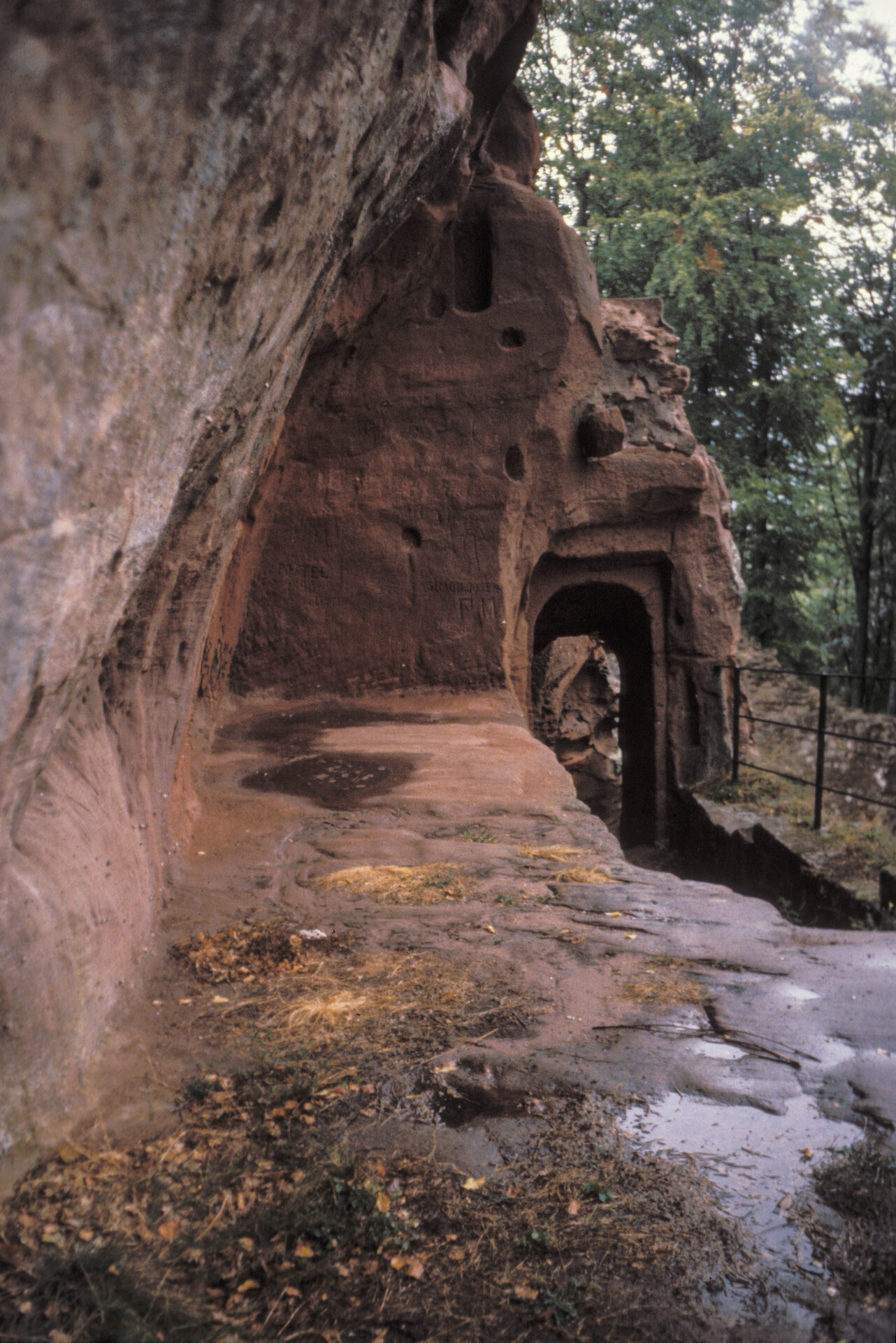 Diapositive – Lutzelhardt – 1990 – 06