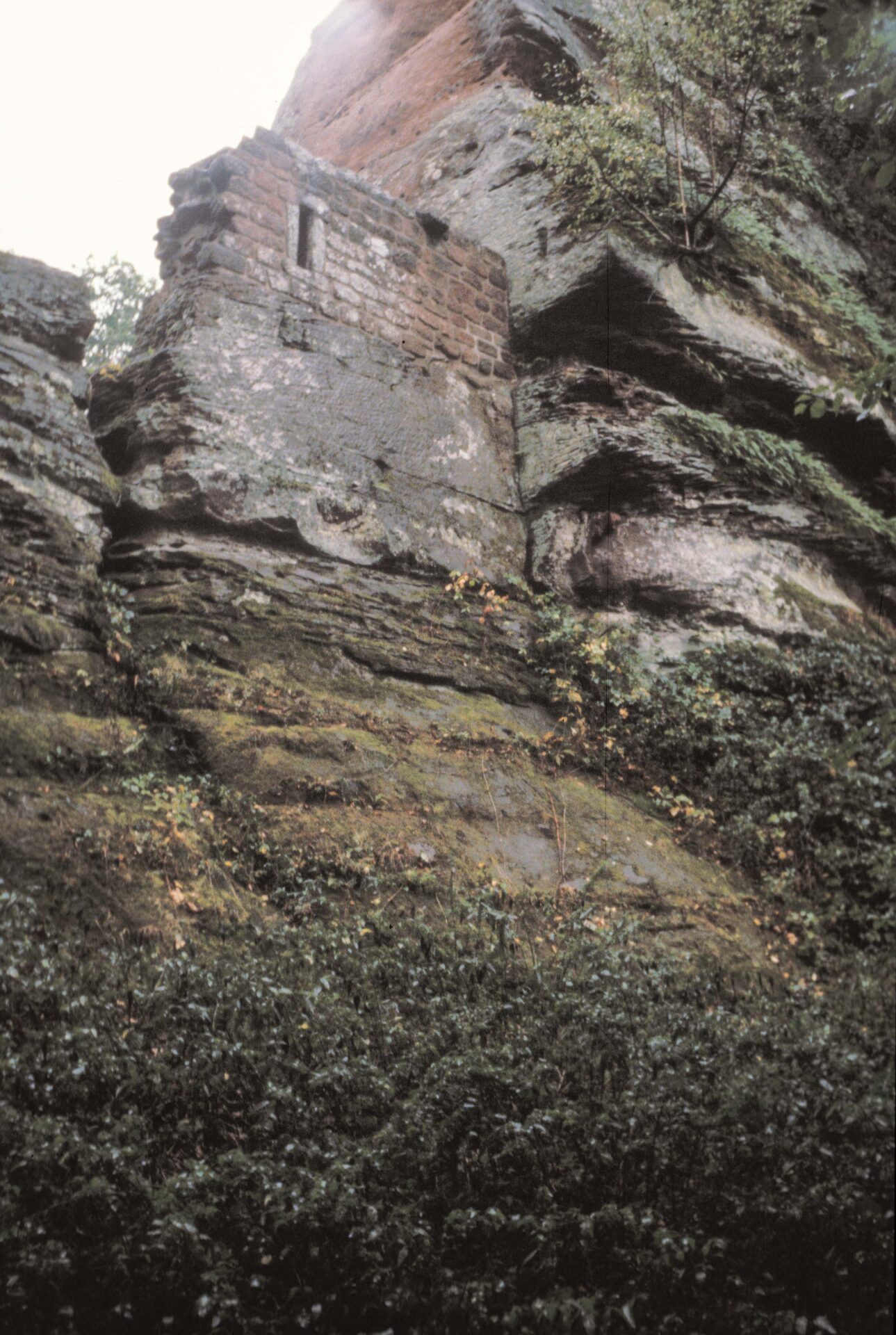 Diapositive – Lutzelhardt – 1990 – 07