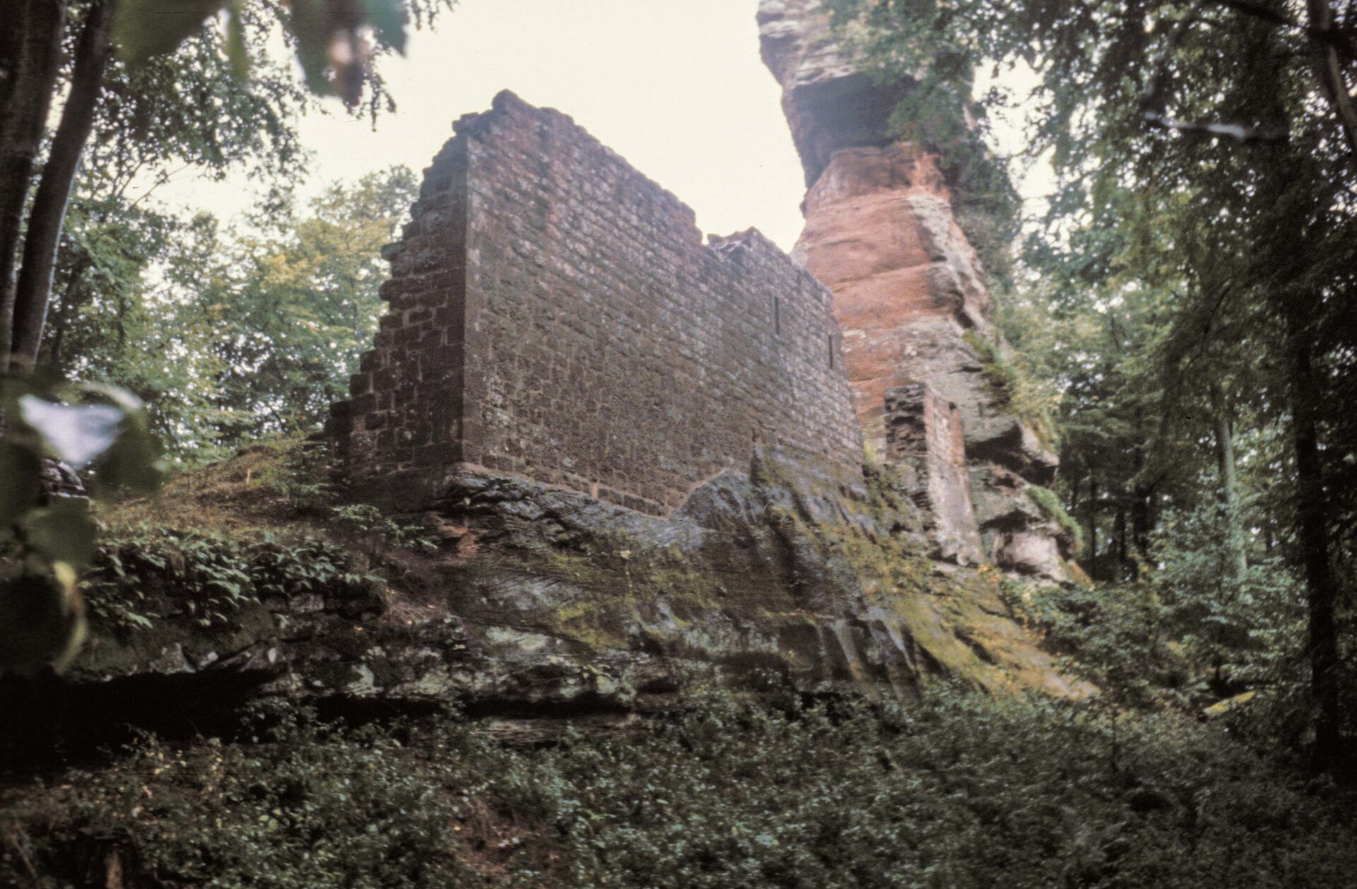 Diapositive – Lutzelhardt – 1990 – 09