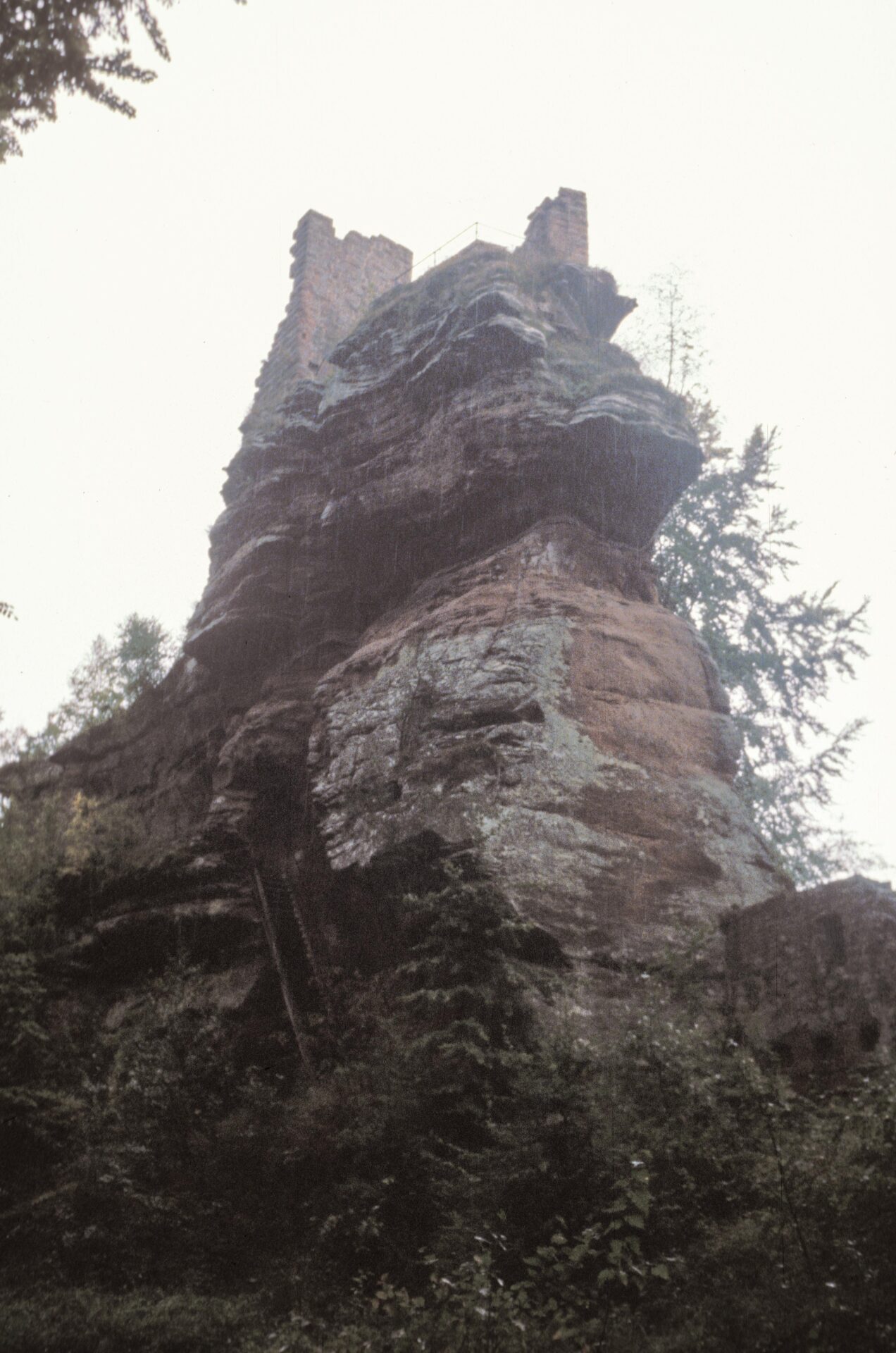 Diapositive – Lutzelhardt – 1990 -10