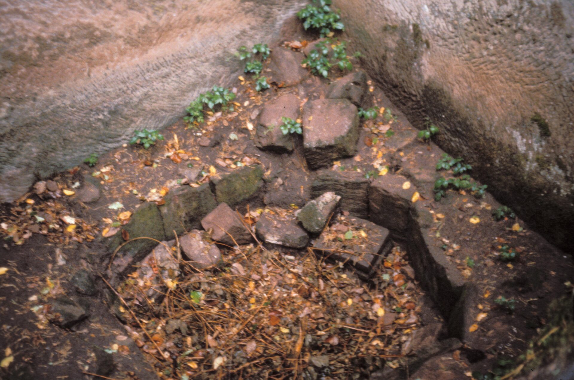 Diapositive – Lutzelhardt – 1990 – 11