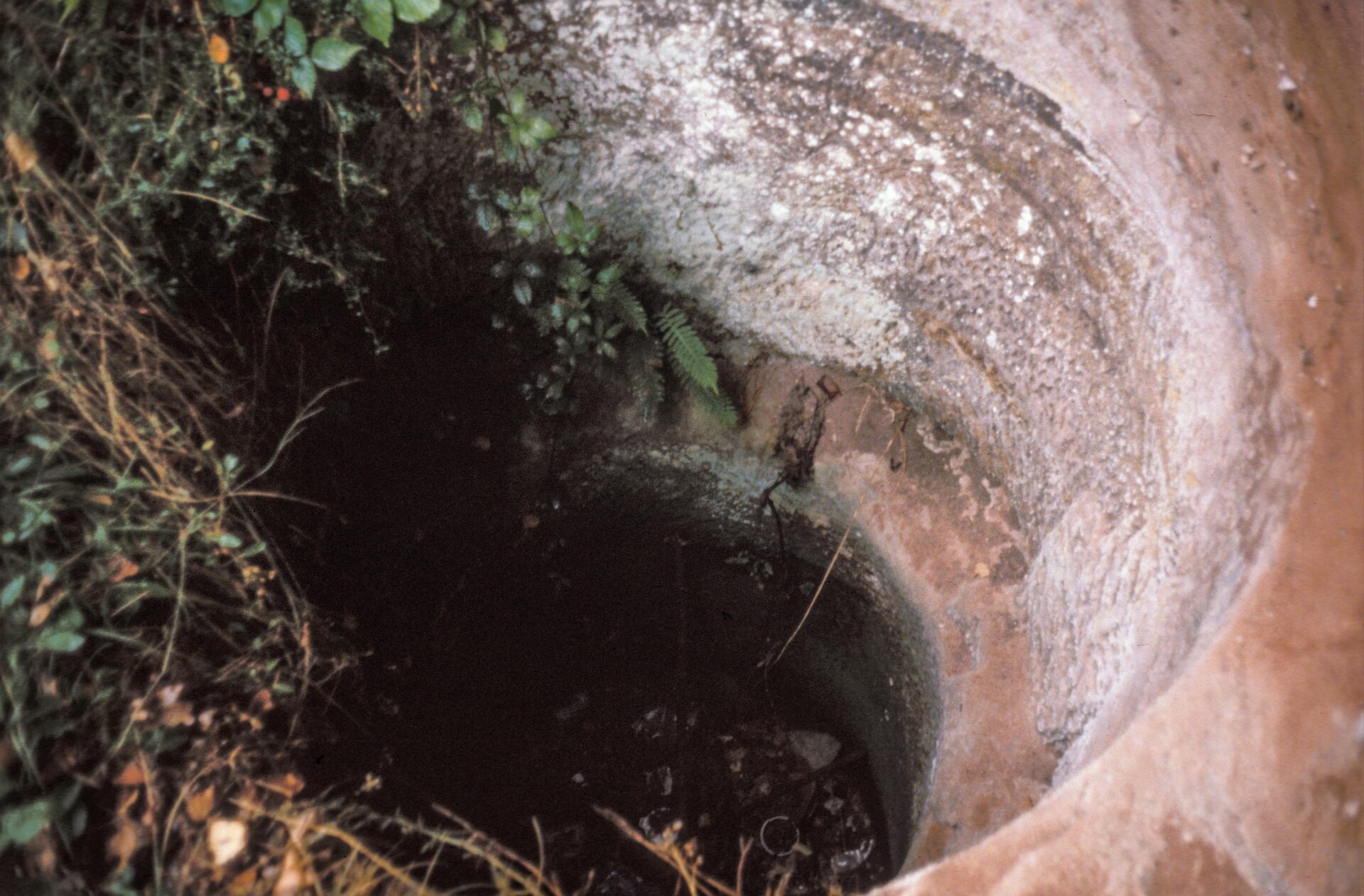 Diapositive – Lutzelhardt – 1990 – 12