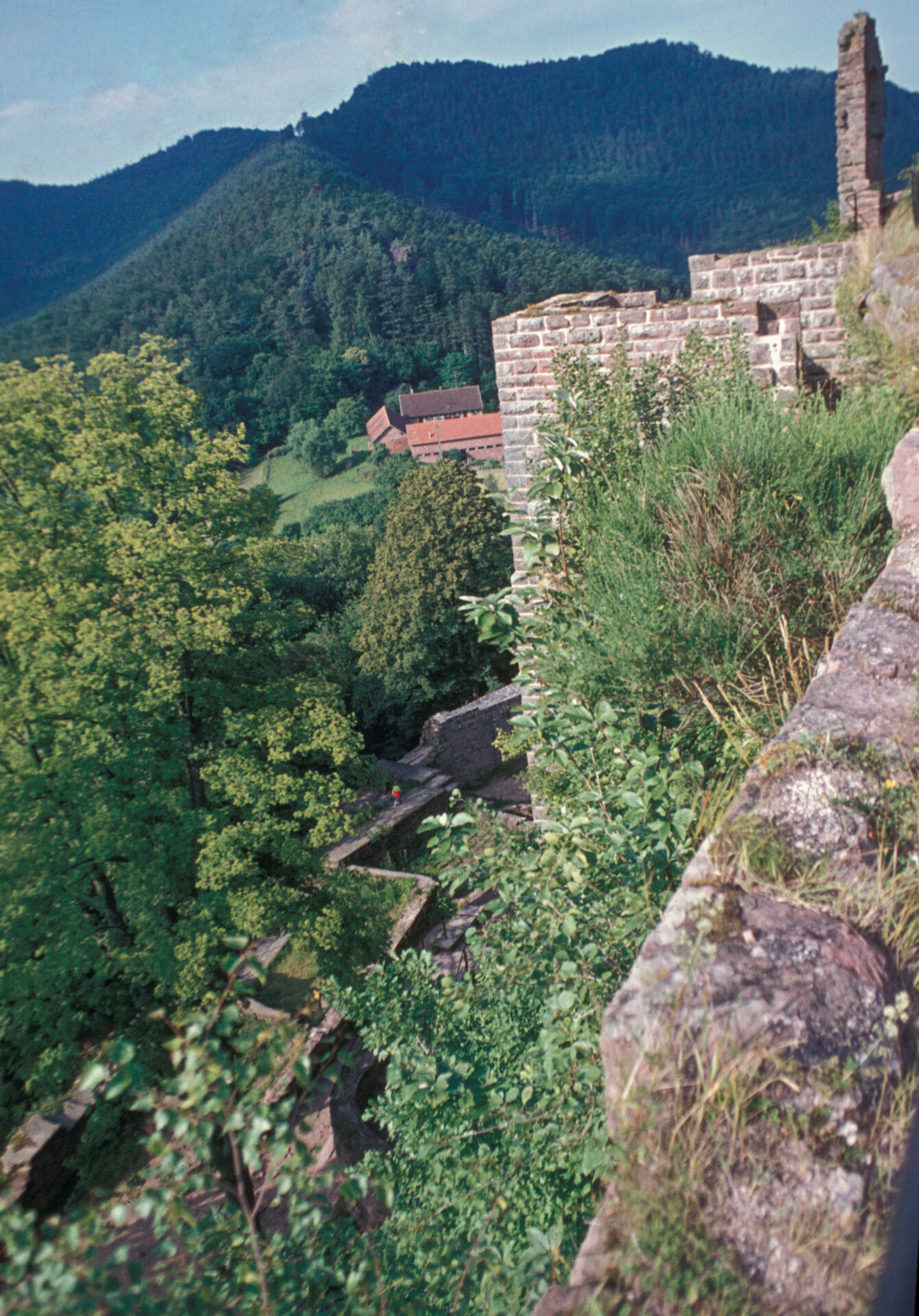 Diapositive - Fleckenstein - 03