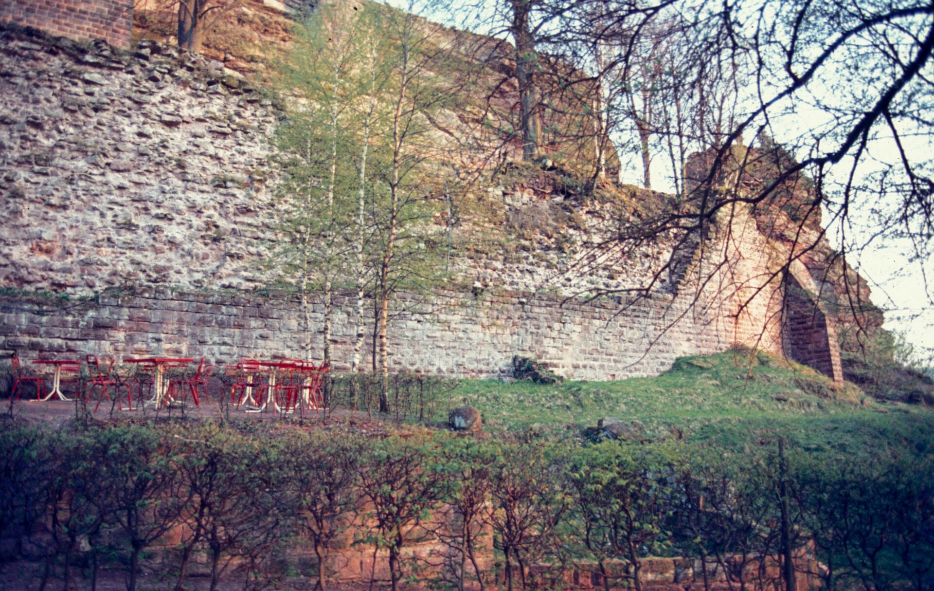 Diapositive - Fleckenstein - 05