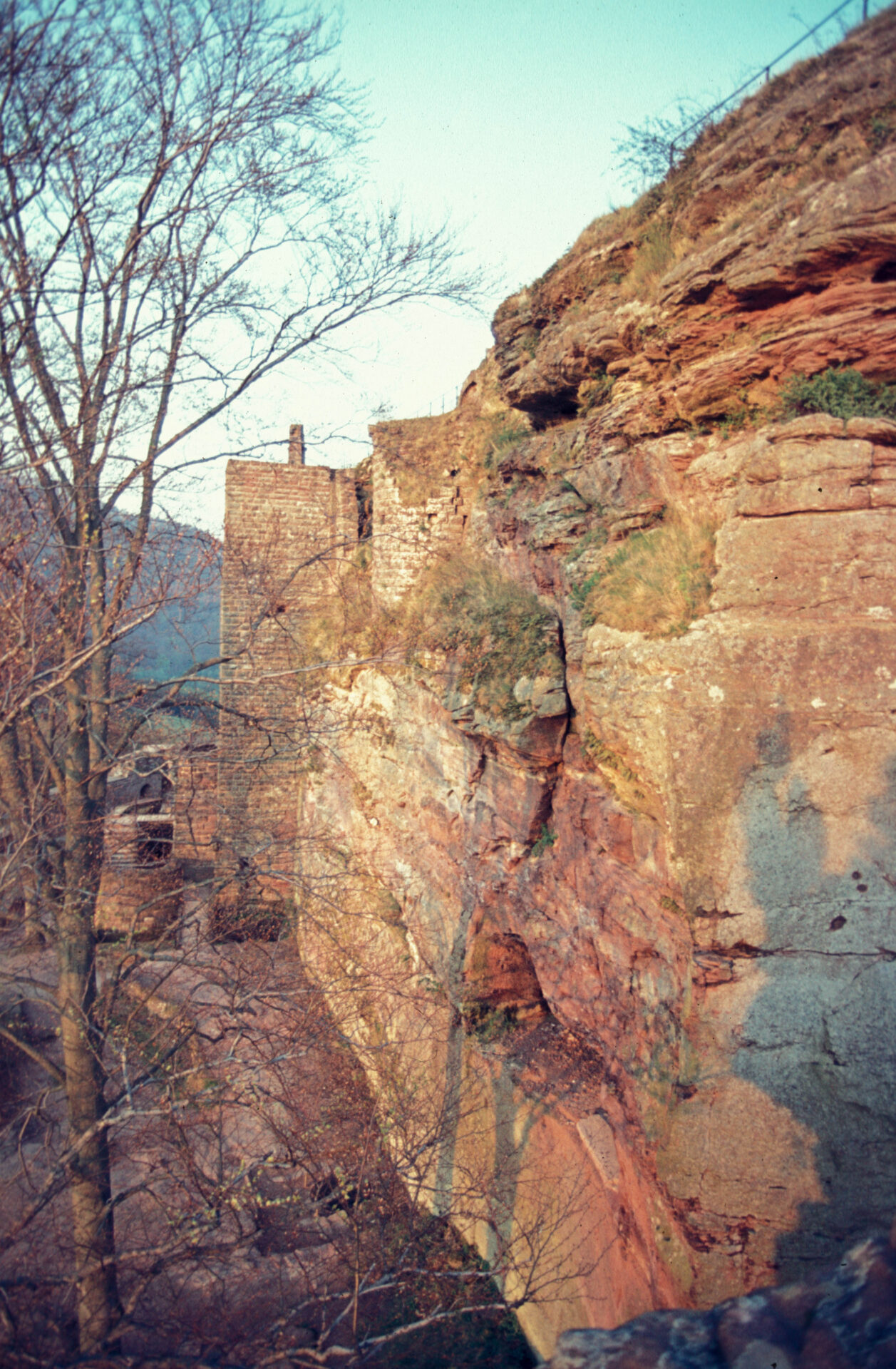 Diapositive - Fleckenstein - 13