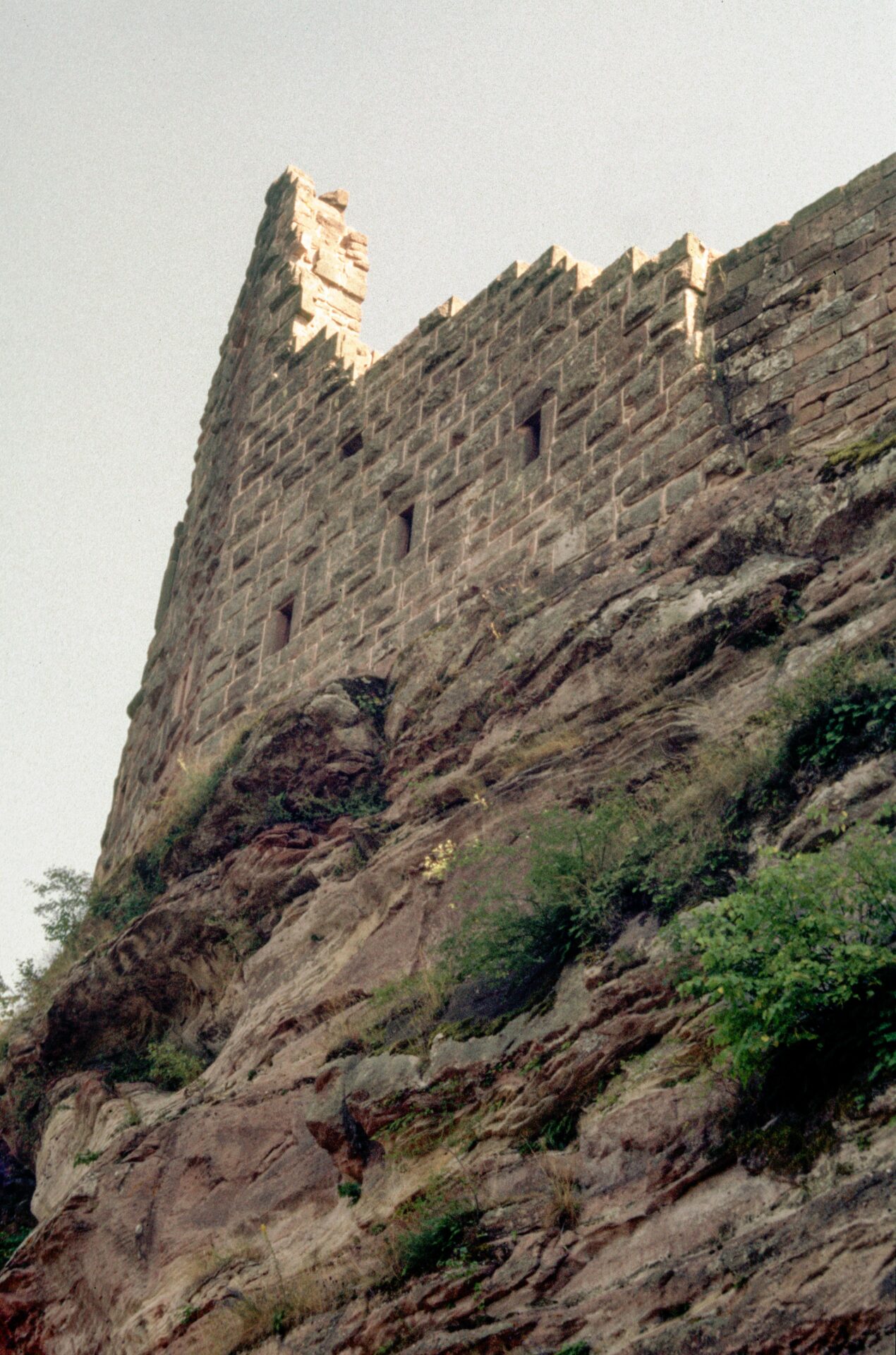 Diapositive - Fleckenstein - 14