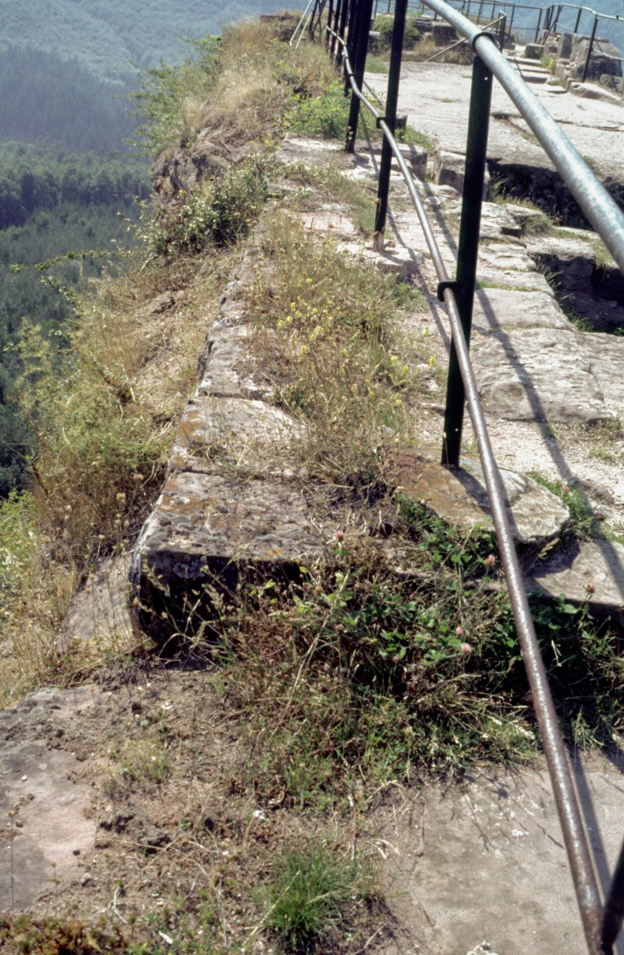 Diapositive - Fleckenstein - 16