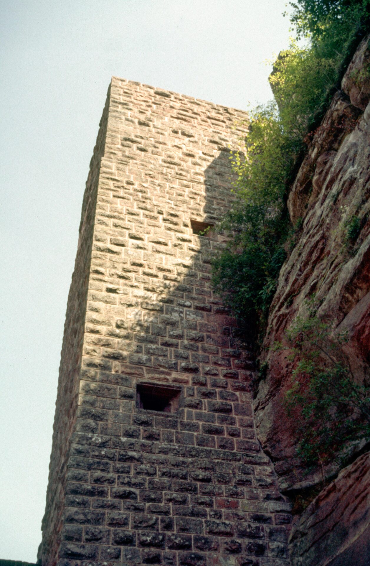 Diapositive - Fleckenstein - 17
