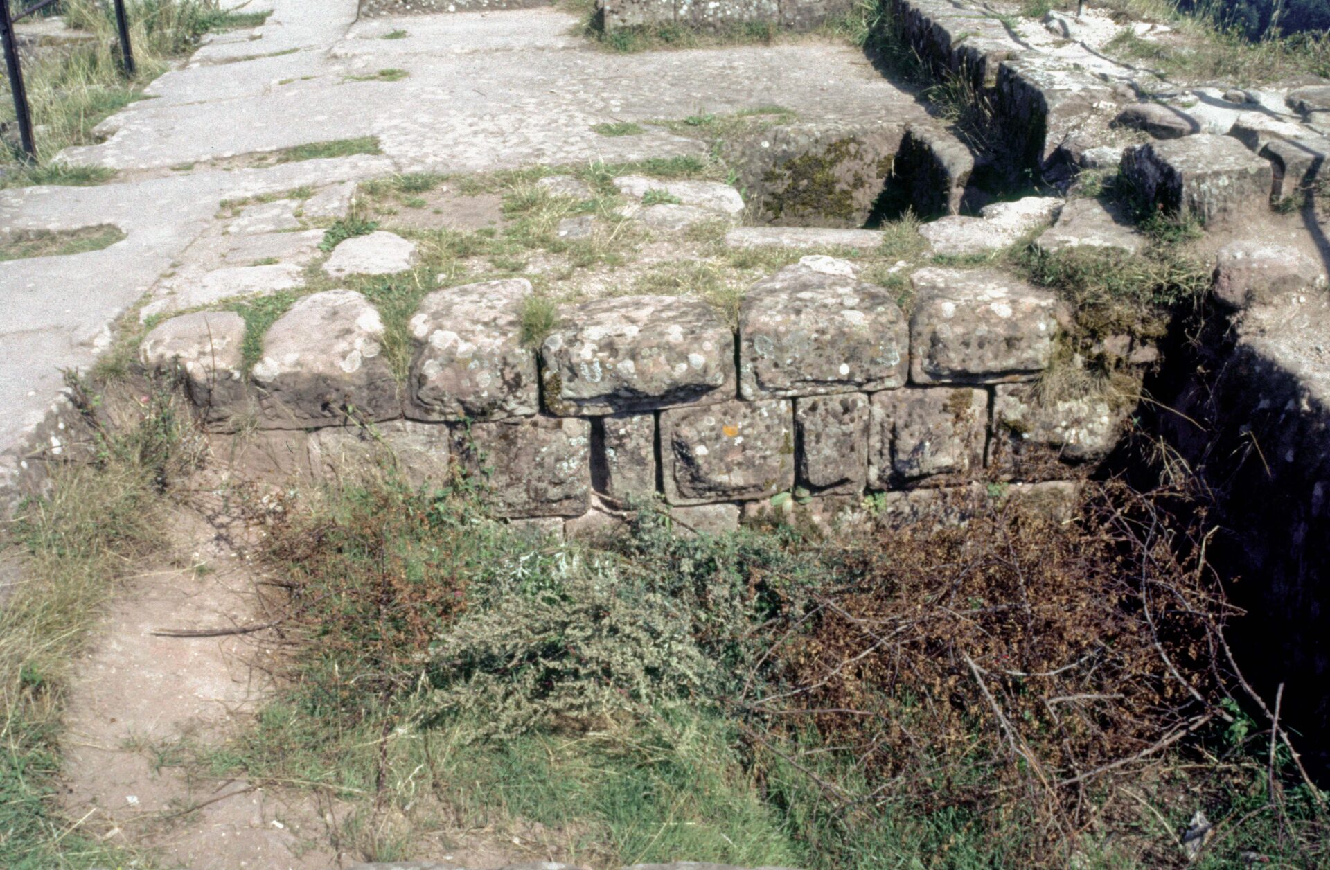 Diapositive - Fleckenstein - 20