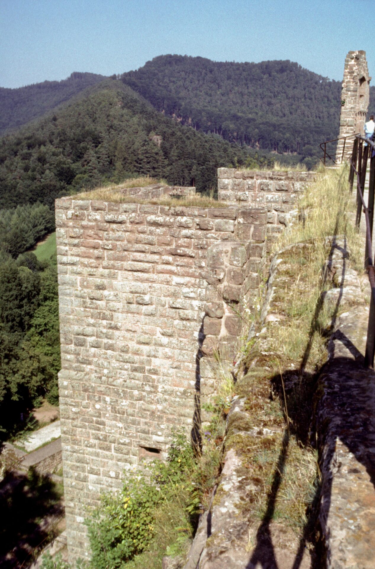Diapositive - Fleckenstein - 27