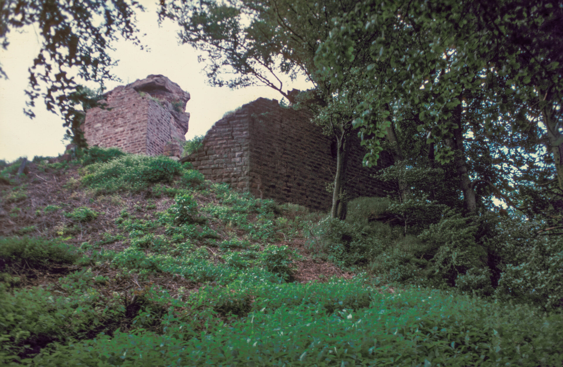 Diapositive - Hohenbourg - 09