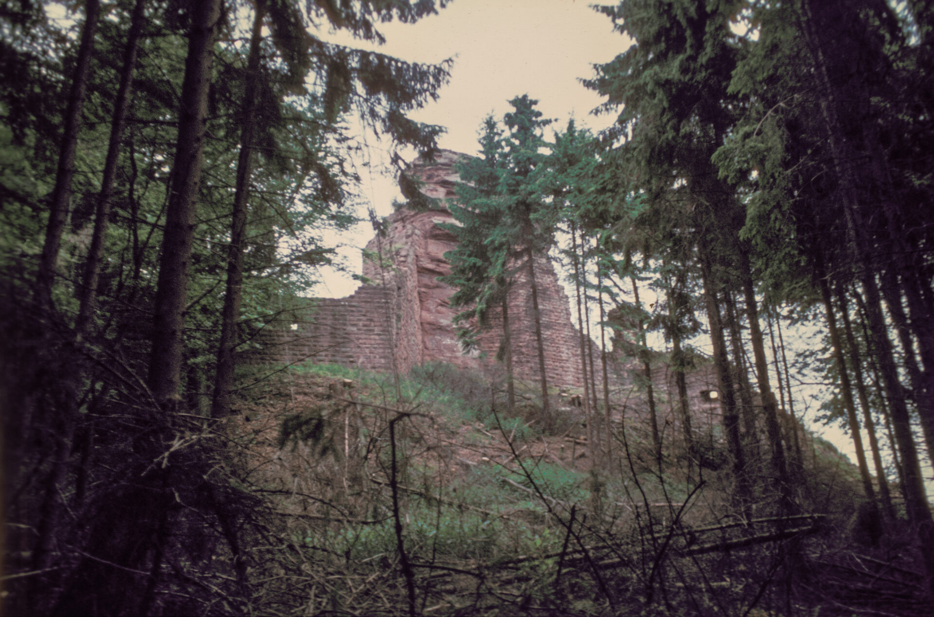 Diapositive - Hohenbourg - 10