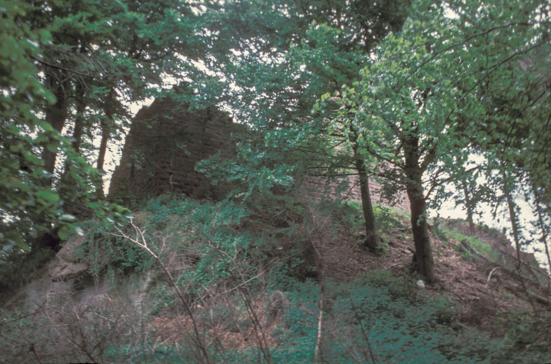 Diapositive - Hohenbourg - 11