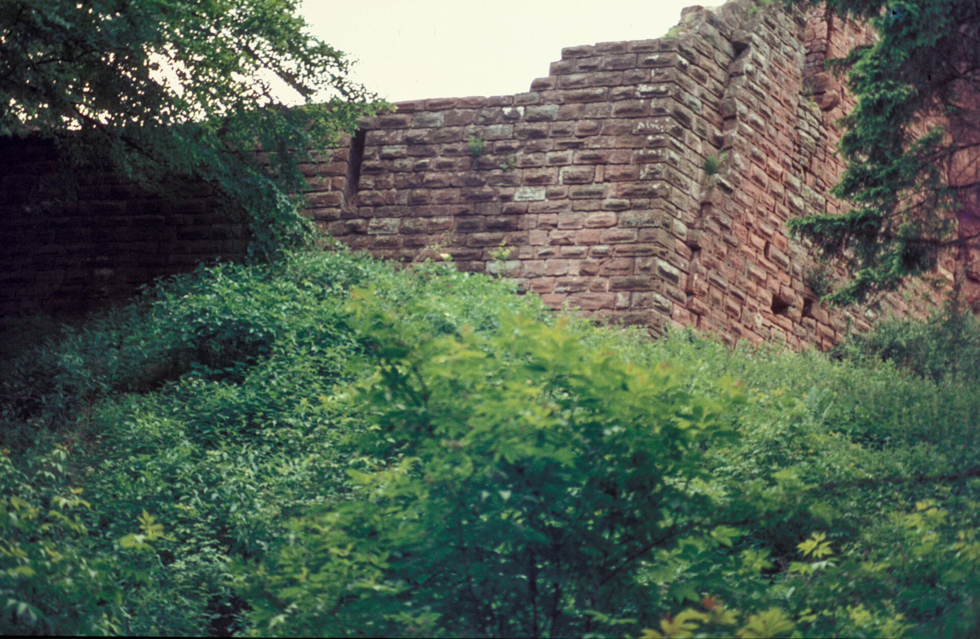Diapositive - Hohenbourg - 13