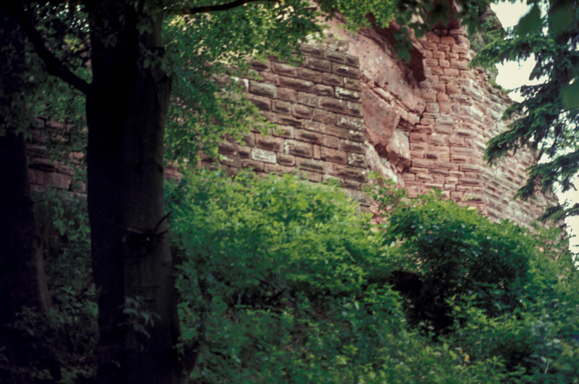 Diapositive - Hohenbourg - 14