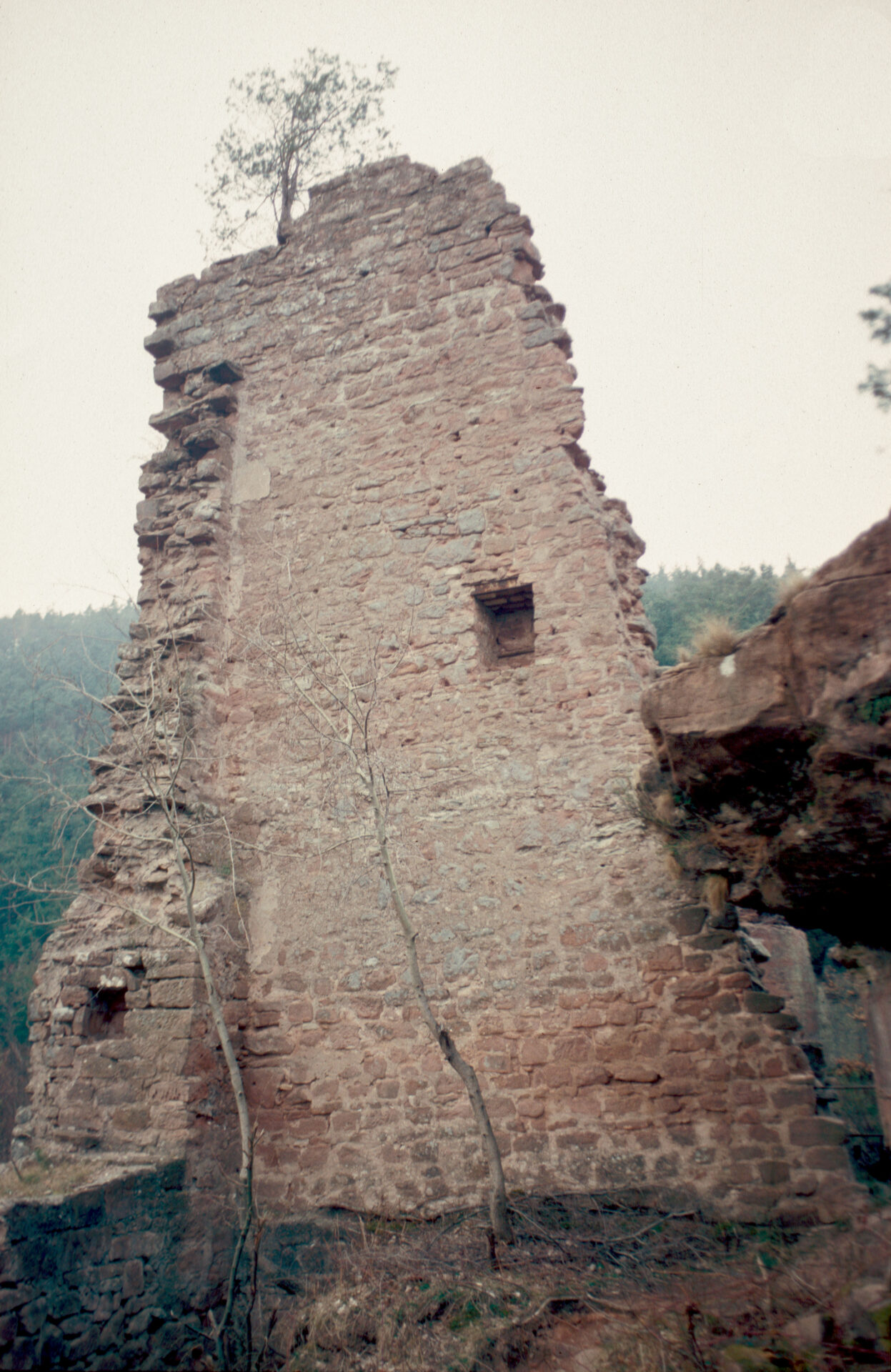 Diapositive - Petit-Arnsberg - 04