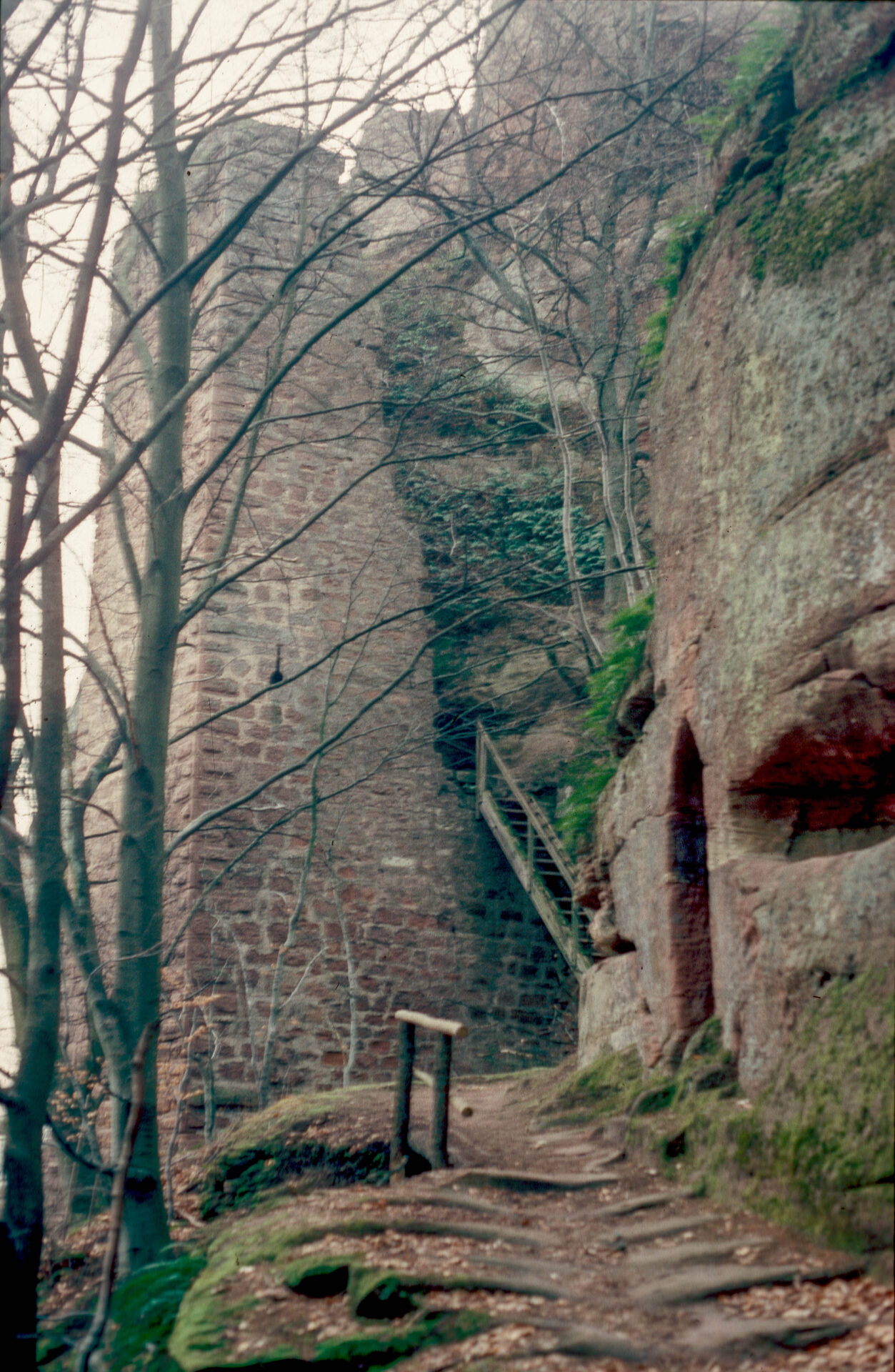 Diapositive - Petit-Arnsberg - 06