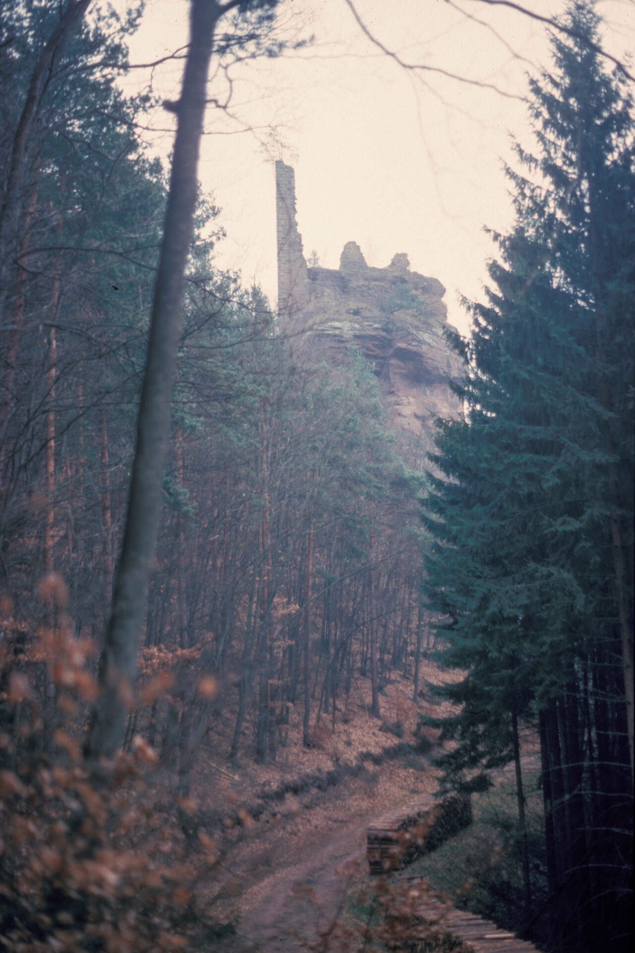 Diapositive - Petit-Arnsberg - 08