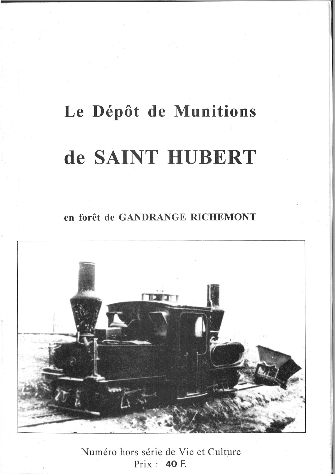 Le Dépôt de Munitions de Saint Hubert en forêt de Gandrange Richemont